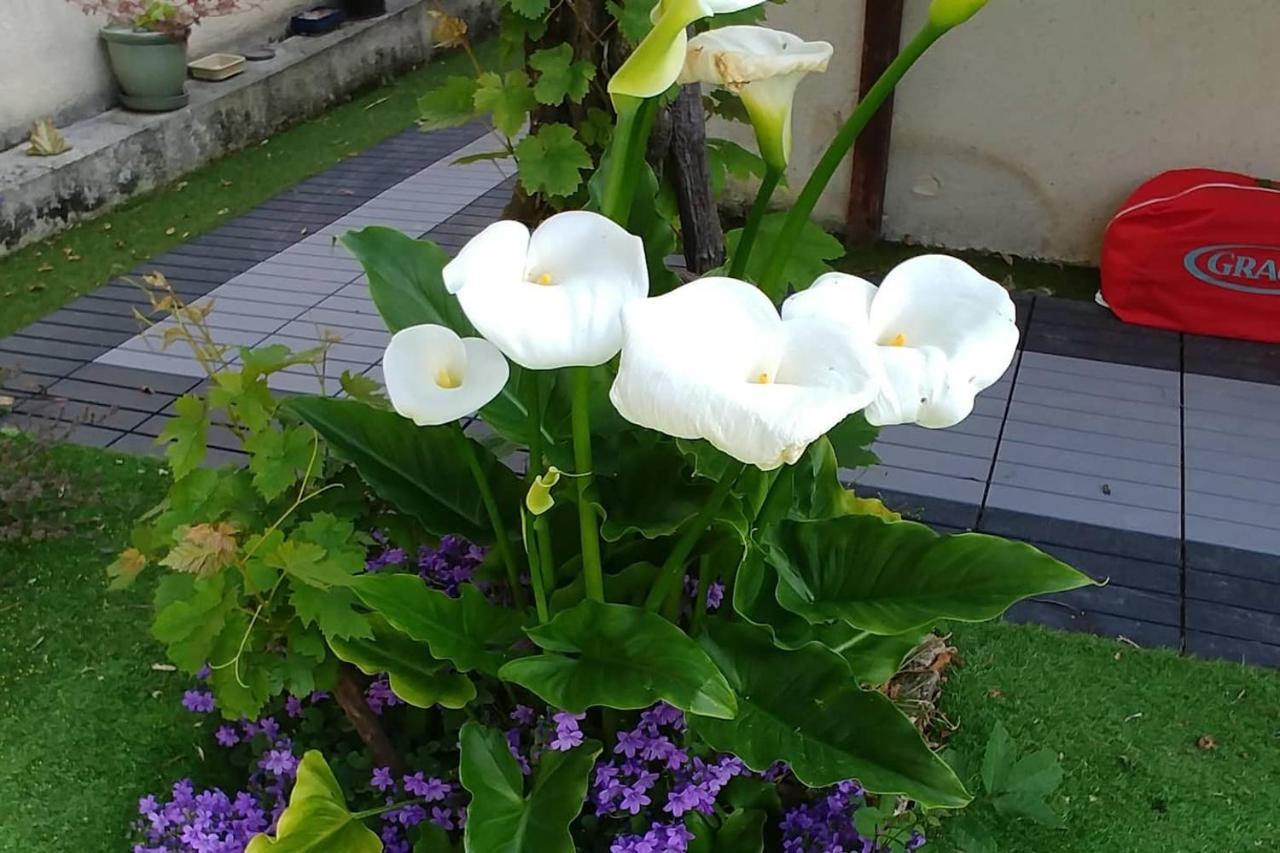헤르망빌쉬르메르 Great Family House, 80 M To The Sea, In Normandie 빌라 외부 사진